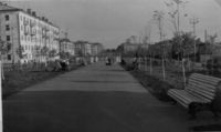 Перспектива от улицы Ст. Халтурина на юг. 1960-е годы