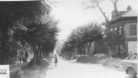 Перспектива от улицы Дрелевского на юг. 1960-е годы. Фото 2
