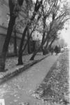 Перспектива от улицы К. Либкнехта на запад. 1970-е годы. 
