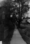 Перспектива от улицы Большевиков на запад. 1960-е годы
