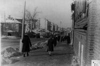 Перспектива от улицы Ст. Халтурина на север весной. Фото 2. 1960-е годы